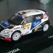 Skoda fabia s2000 R.Kresta Barum rally 2013