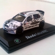 Skoda Fabia WRC P.Valousek Jeseniky 2011