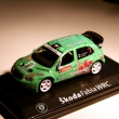 Skoda Fabie wrc P.Valouek Luicke Hory 2011